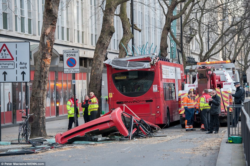 В Лондоне городской автобус врезался в дерево