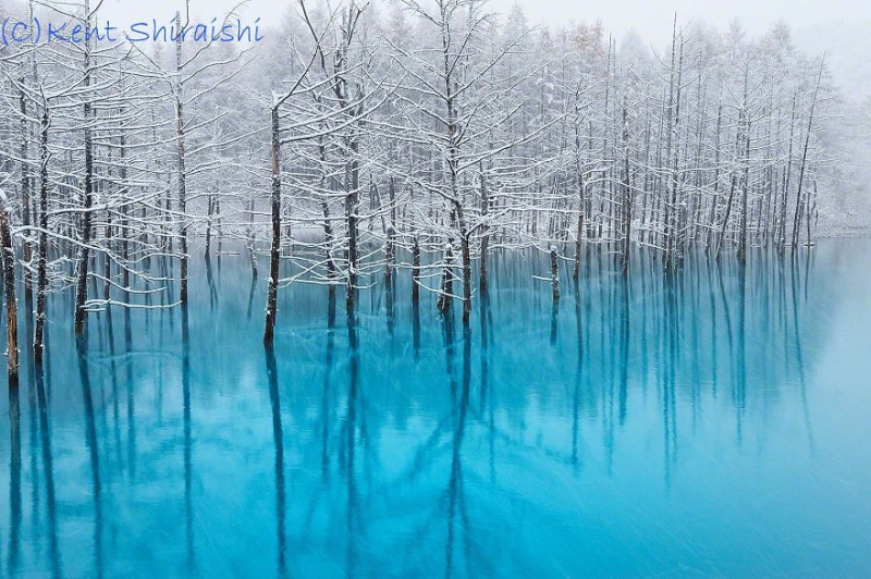 Голубой пруд в Японии