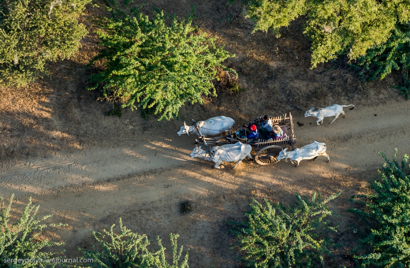  Полёты во сне и наяву с фотографом Сергеем Доля