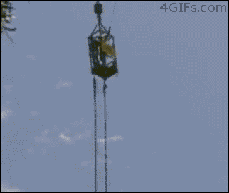 В реке его ждали