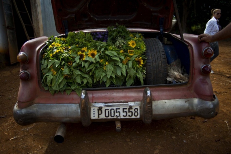 Продавец цветов на Кубе 