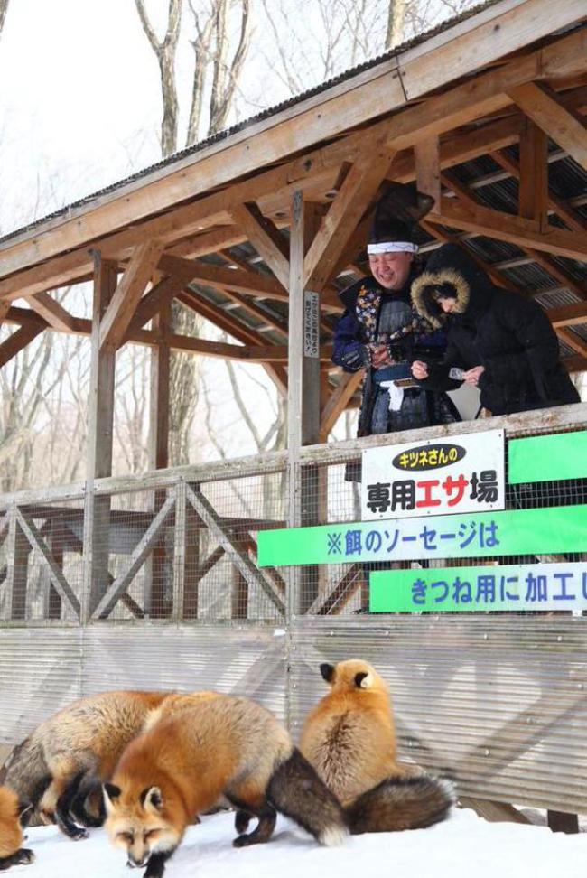 Деревня лис в японии