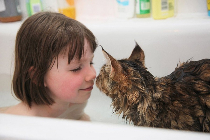 Как кошка Тула помогает девочке с аутизмом