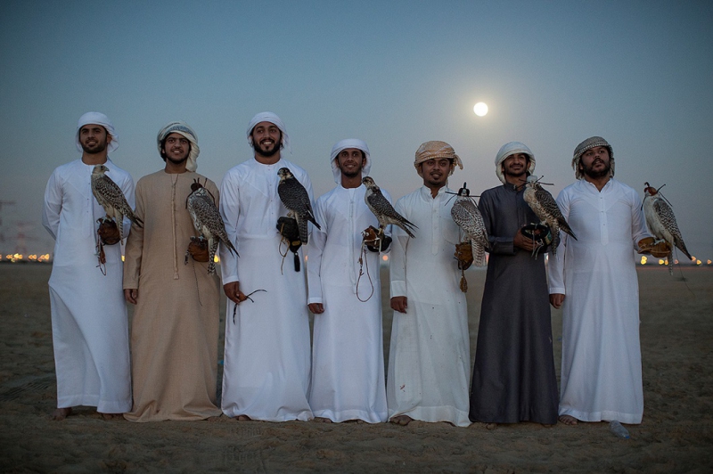Соколиная охота в Арабских Эмиратах