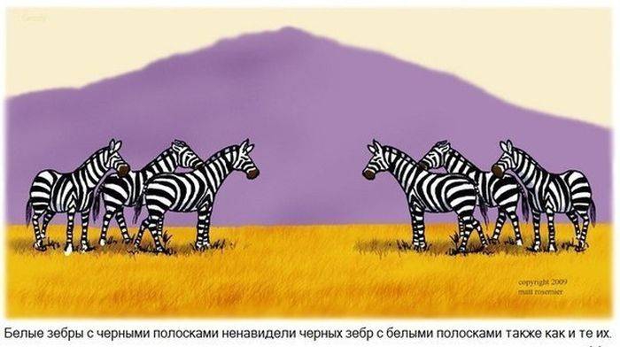 Подборка картинок, смешных и не очень