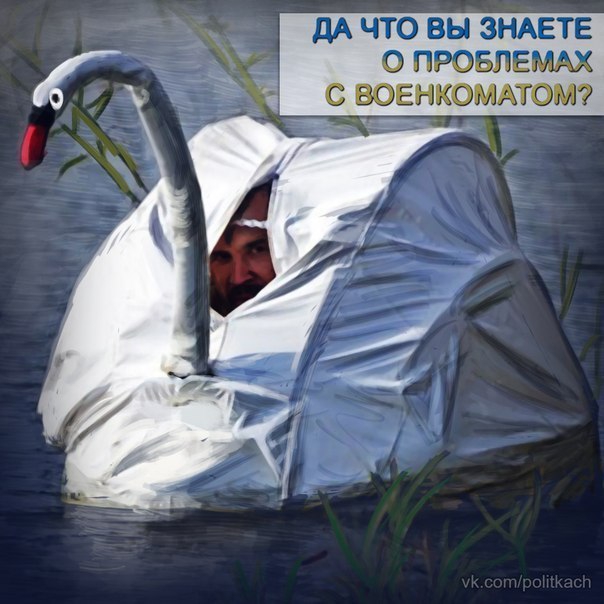 Подборка картинок, смешных и не очень