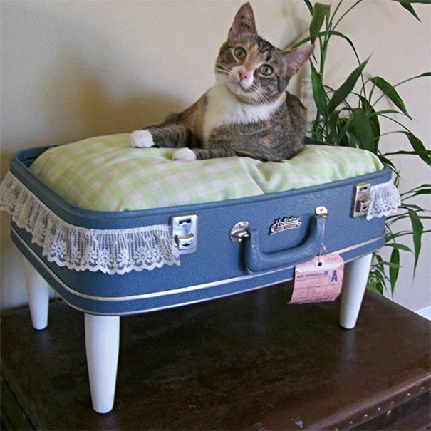 13. Кошачья кроватка из чемодана