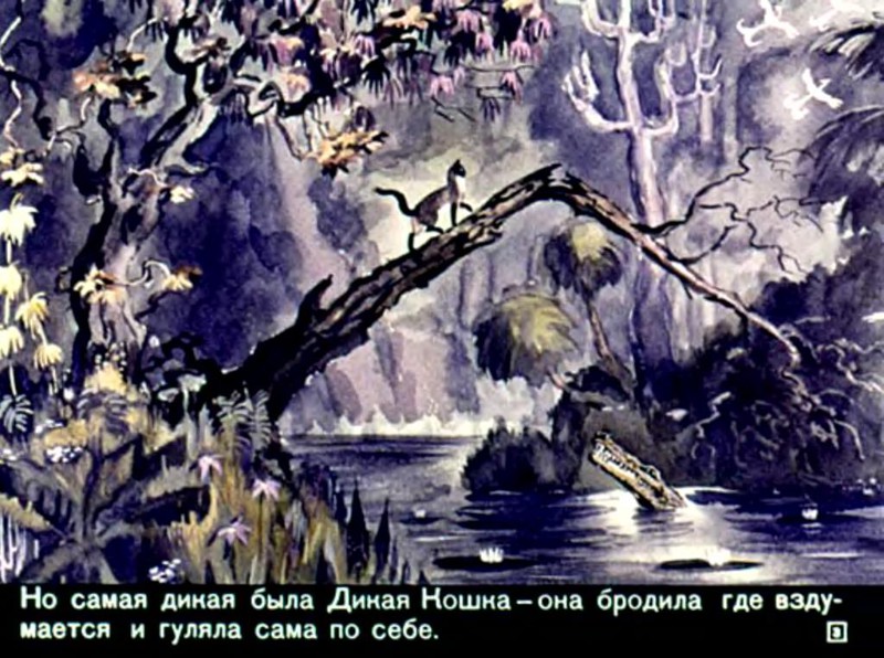 Диафильм "Кошка, гулявшая сама по себе" 1971 год