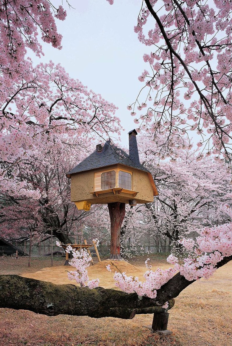 12. Чайный домик Tetsu в Яманаси, Япония.