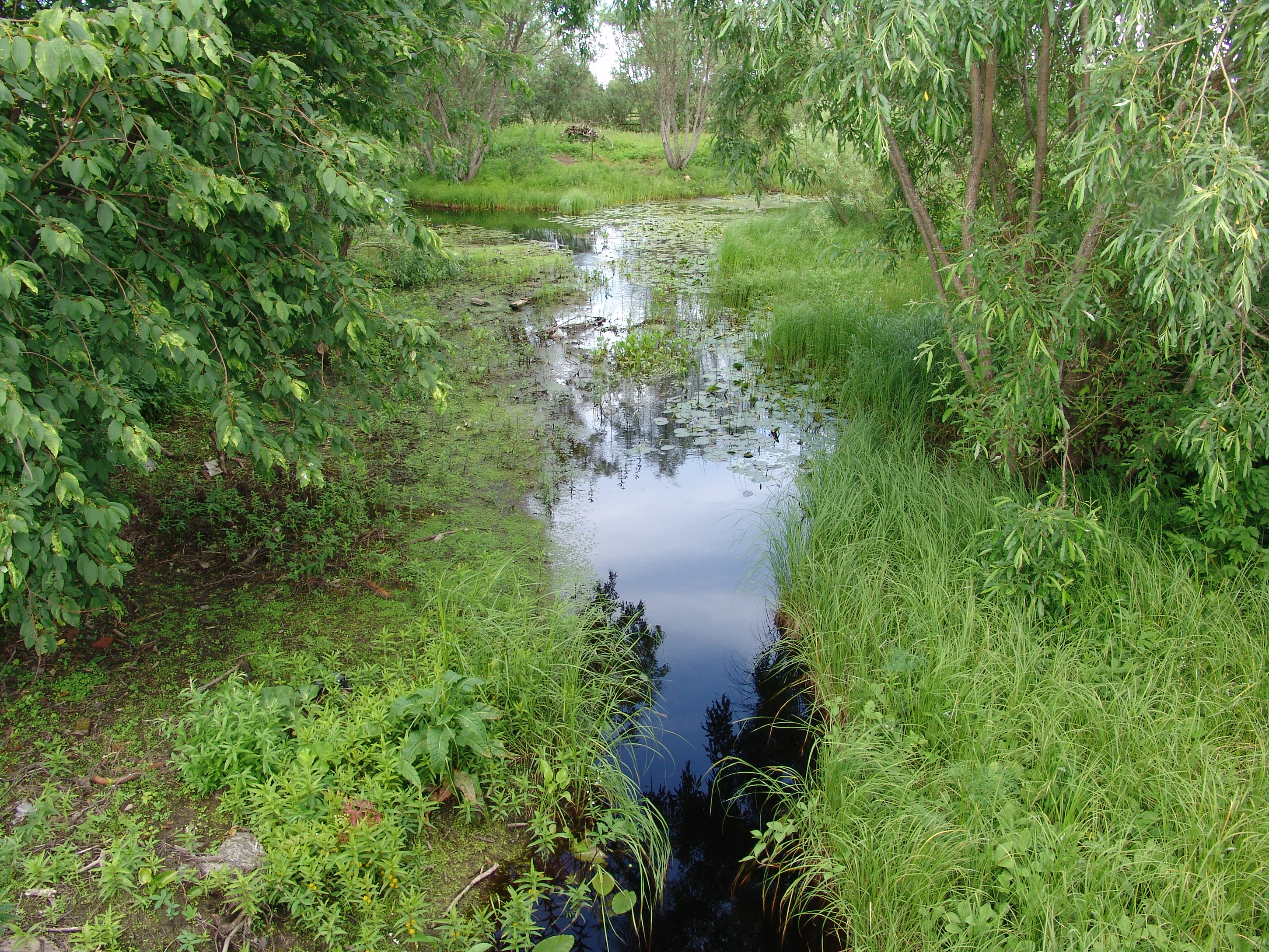 Фото нашей родины