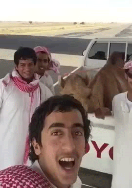 Улыбчивая банда Улыбчивая банда