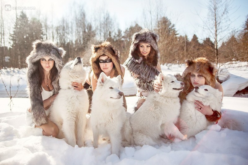 Красивые девушки и  хаски среди бескрайних снегов 