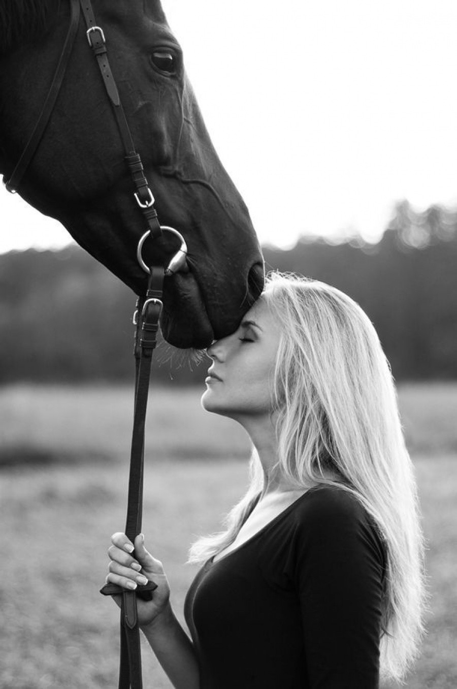 Девки и лошади. Фотосессия с лошадьми. Девушка с лошадью. Красивая женщина на лошади.