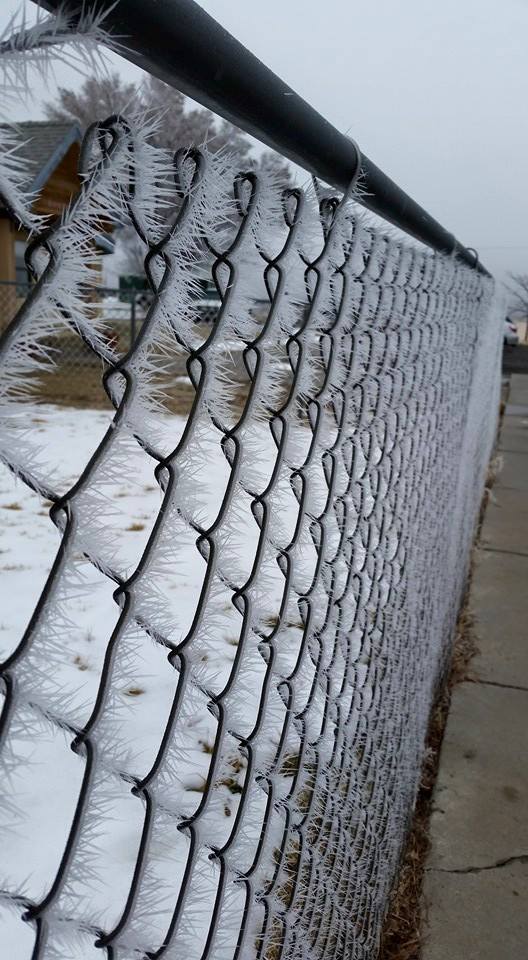 Сетка замерзла