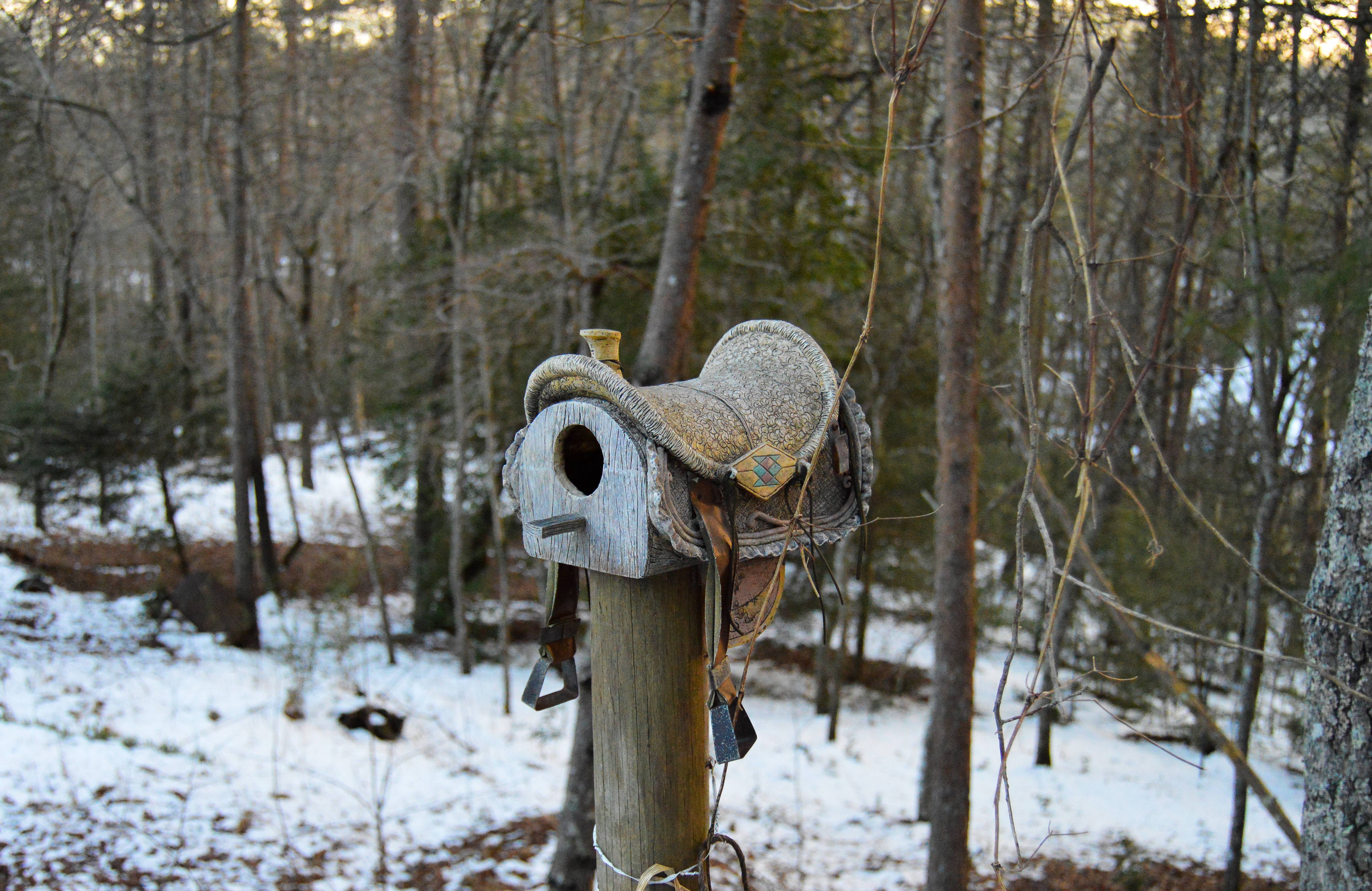 Почта с седлом