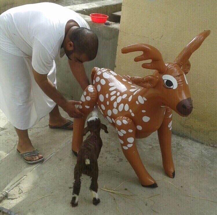 Не догадывается 