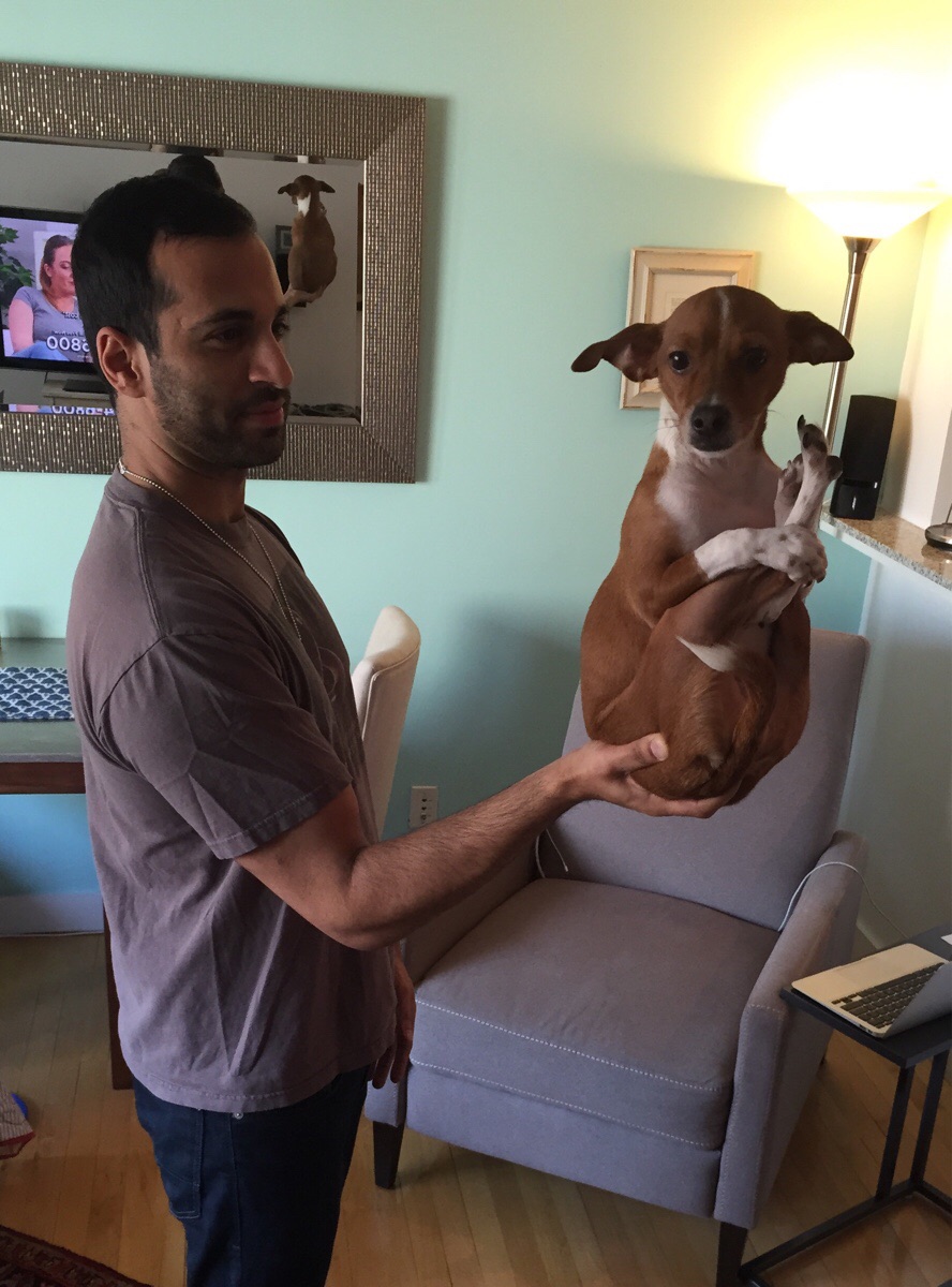 Вот это песик