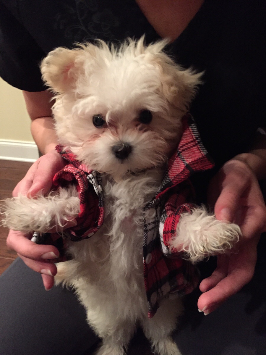 Приодели малыша