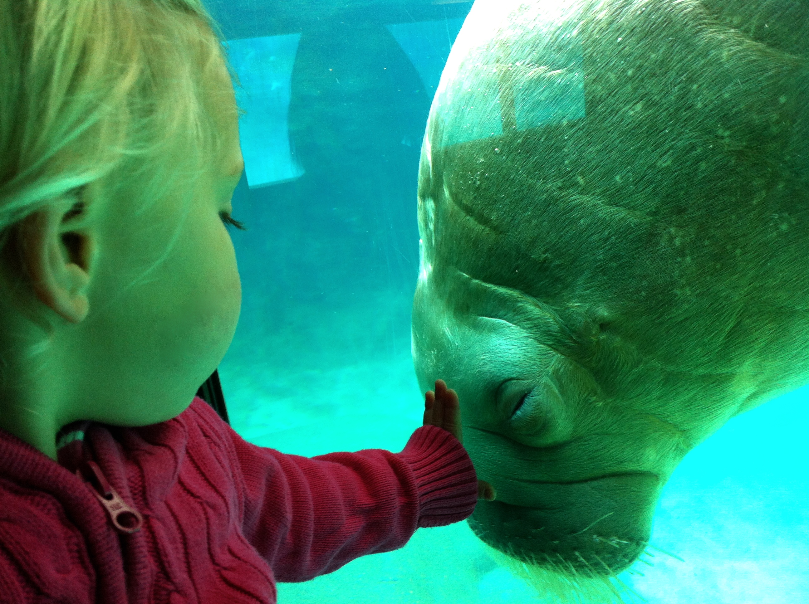 В океанариуме 