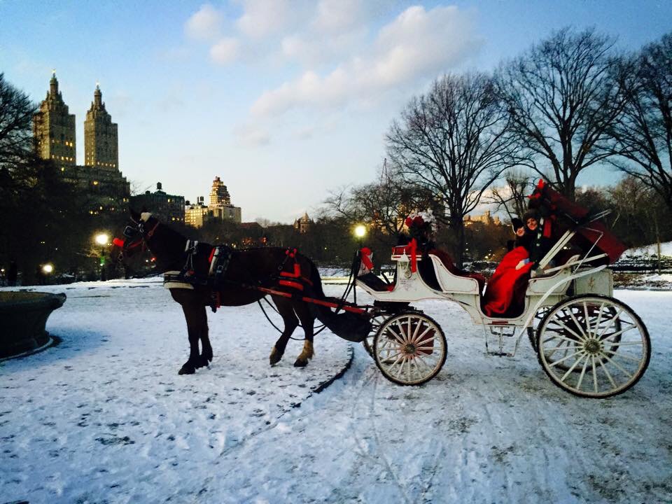 Прогулка в карете