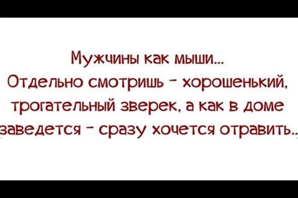 Женская логика создана для того чтобы офигела мужская психика картинки