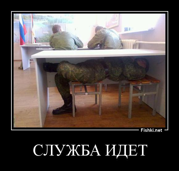 Смешные картинки солдат спит служба идет, картинках животное картинки