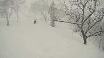 Прямо в дерево