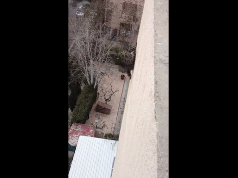 Хоть бы не отбил себе ничего