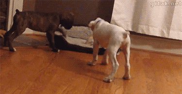 Двое против одного Двое против одного