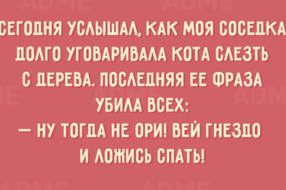 Слезть. Шутки про пофигизм. Вей гнездо и ложись спать анекдоты. Анекдоты про пофигизм. Прикольные анекдоты про пофигизм.