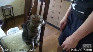 "Гладь меня" "Гладь меня"