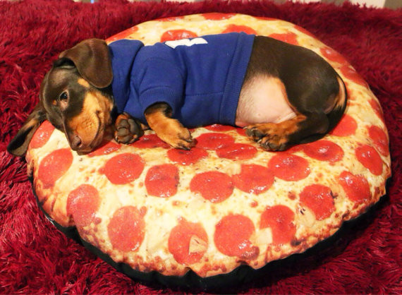 В мечтах о пицце