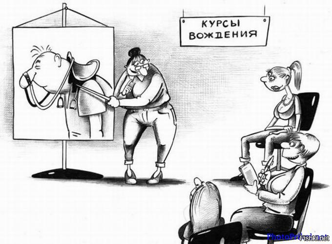 Люди вы где картинки смешные