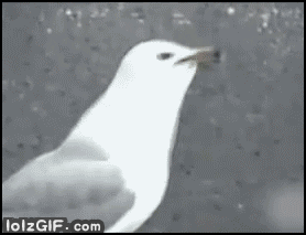 Неожиданная развязка