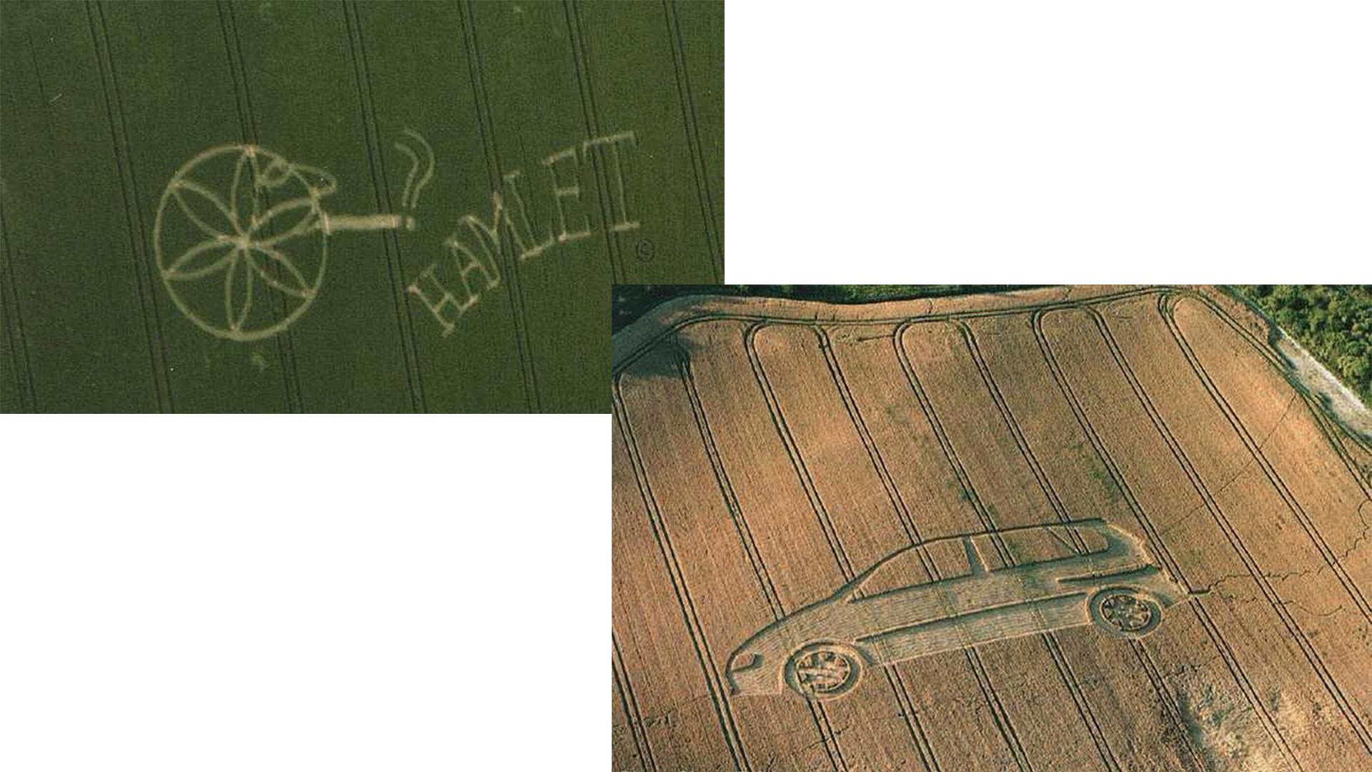 Круги на поле телеграмм. Круги на полях. Круги на полях Англия настоящие. Знаки на кукурузных полях. Круги на полях телеграм канал.
