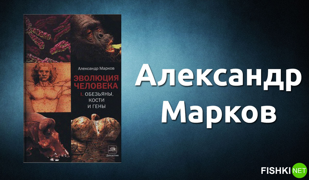 «Эволюция человека. В 2 книгах.». Александр Марков.