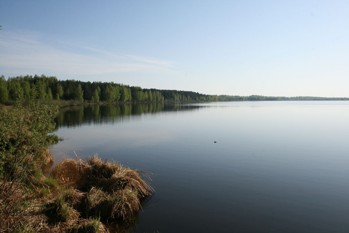 Погода в больших озерах. Озеро белое Клепиковский район. Белое озеро (Рязанская область, Северное). Озеро белое Рязанская область Клепиковский. Озеро великое Рязанская область.