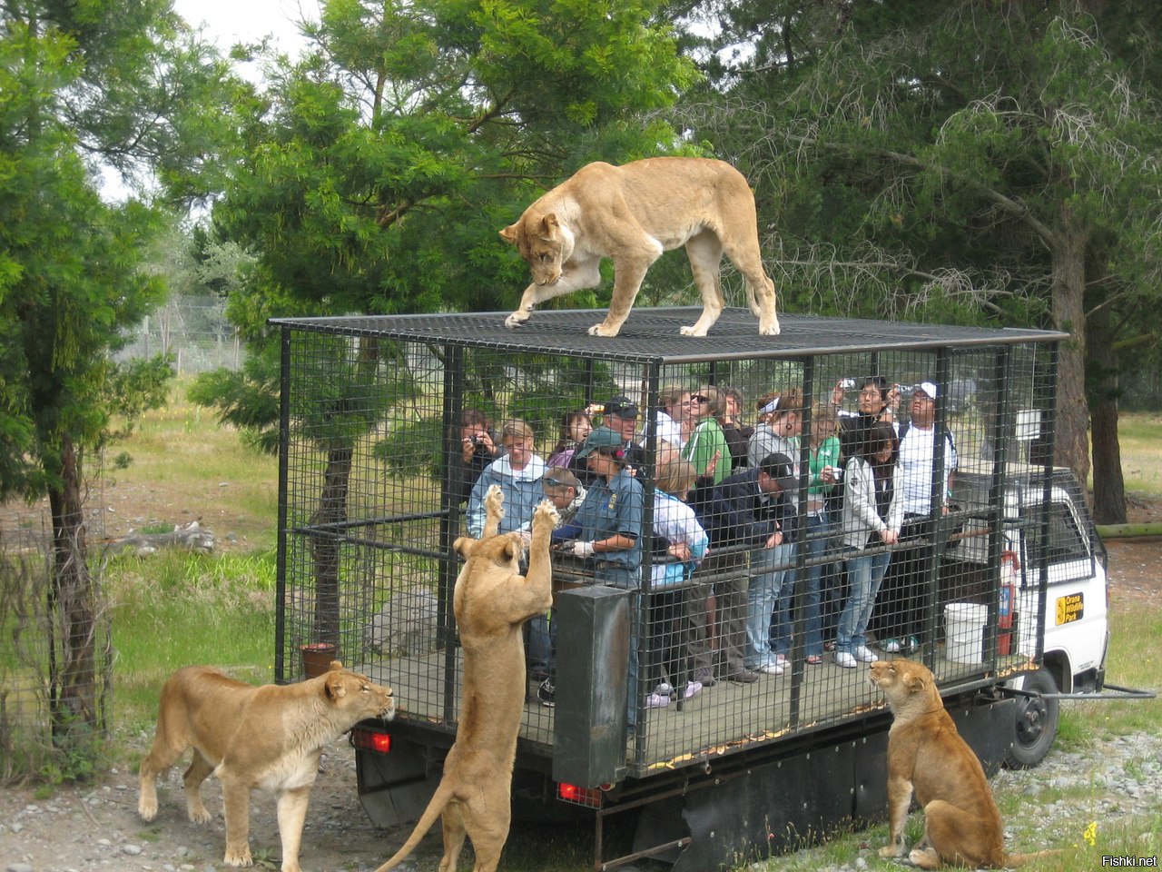 Зоопарк с людьми