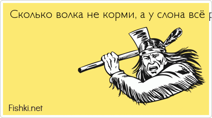 Сколько волка не корми все равно в лес смотрит рисунок