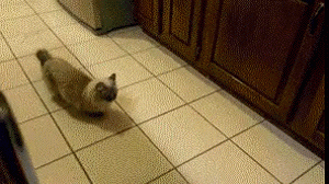 Очень кушать хочется