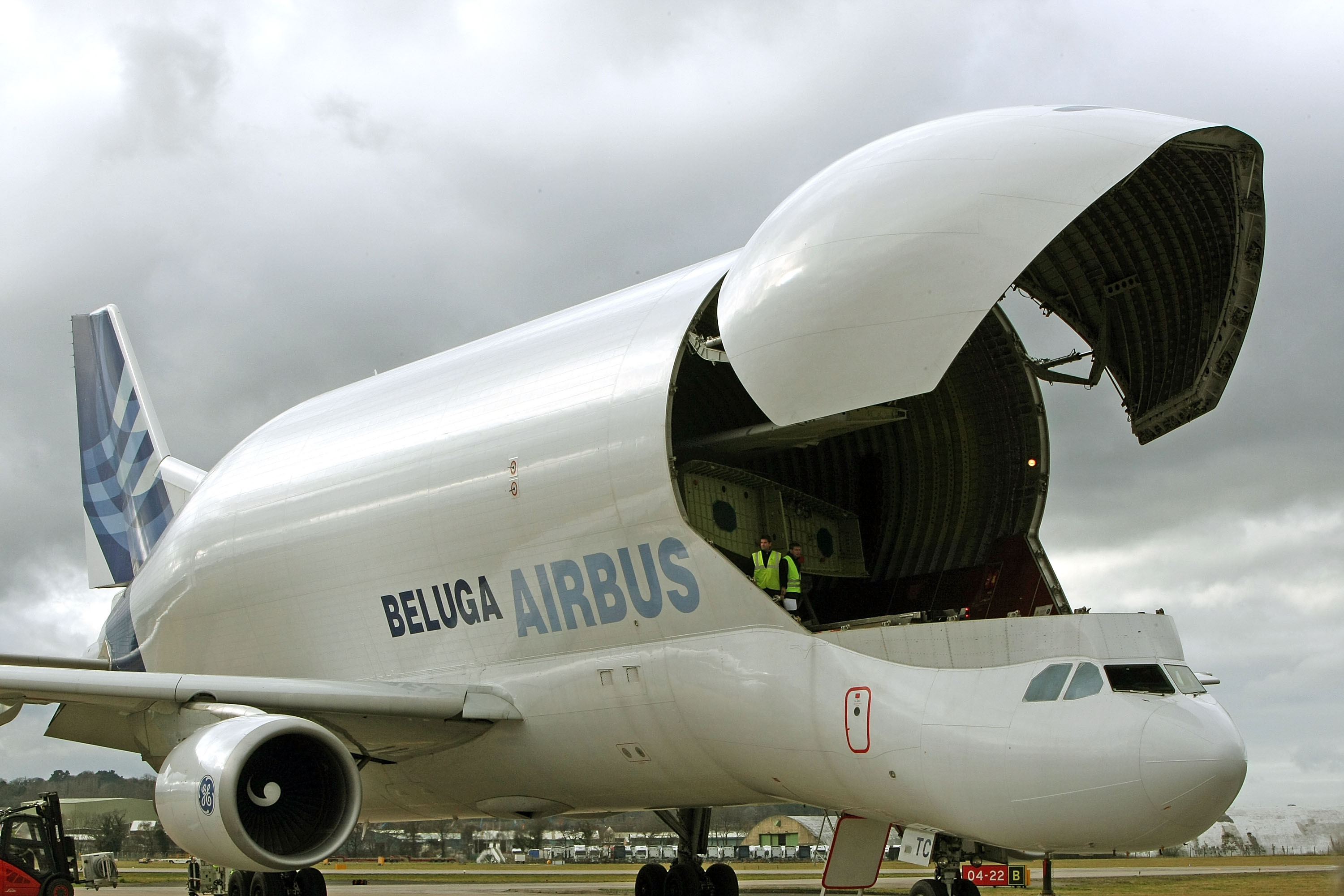 Грузовик самолет. Airbus a300–600st Beluga. Грузовой самолет Airbus a300-600st Beluga. Аэробус а300 600 St Белуга. А300 самолет Белуга.