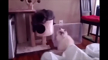 "Выключите камеру!"