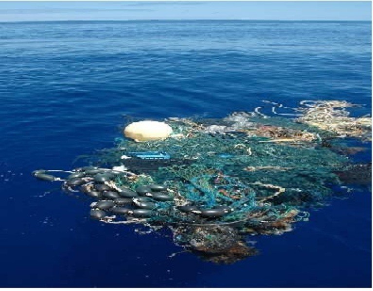 Фото из космоса мусорного острова в тихом океане