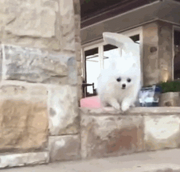 Когда выпустили погулять