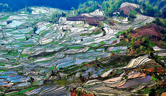 Рисовые террасы Юньнань