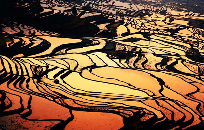 Рисовые террасы Юньнань