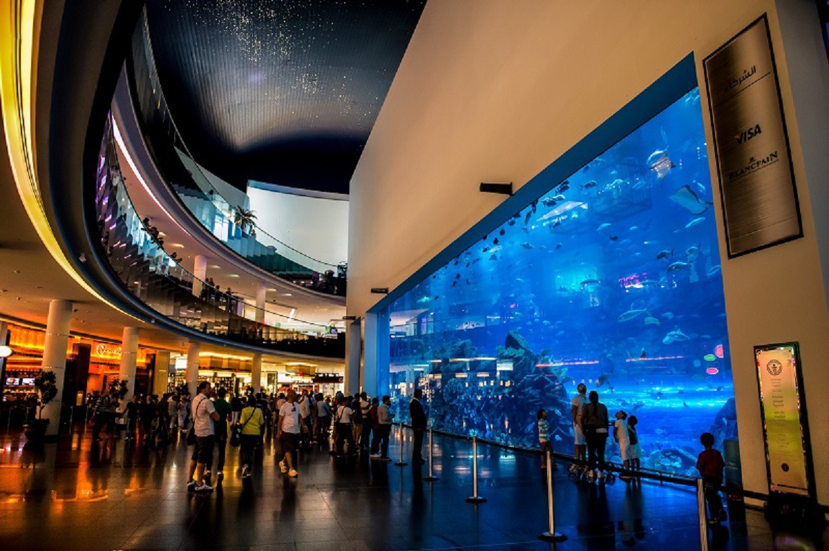 Большие тц в центре. Аквариум "Dubai Mall" (ОАЭ, Дубай). Дубайский океанариум в Дубай молле. Дубай торговый центр Дубай Молл. Аквариум в Бурдж Халифа.