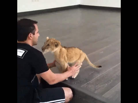 Пока еще очень милый