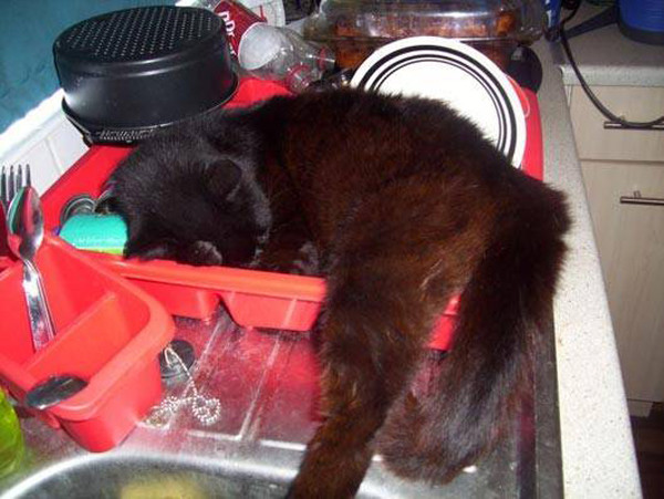 Мыть посуду? Лучше отдохнуть.