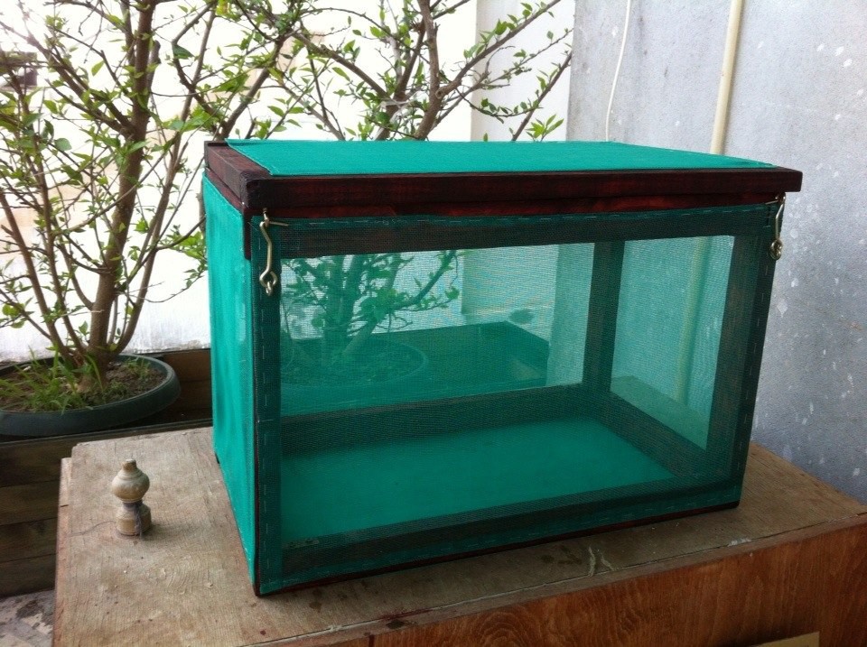 Как сделать сушилку для рыбы. Ящик для сушки рыбы. Ящик для вяления рыбы. Самодельная сушилка для рыбы. Самодельный ящик для сушки рыбы.